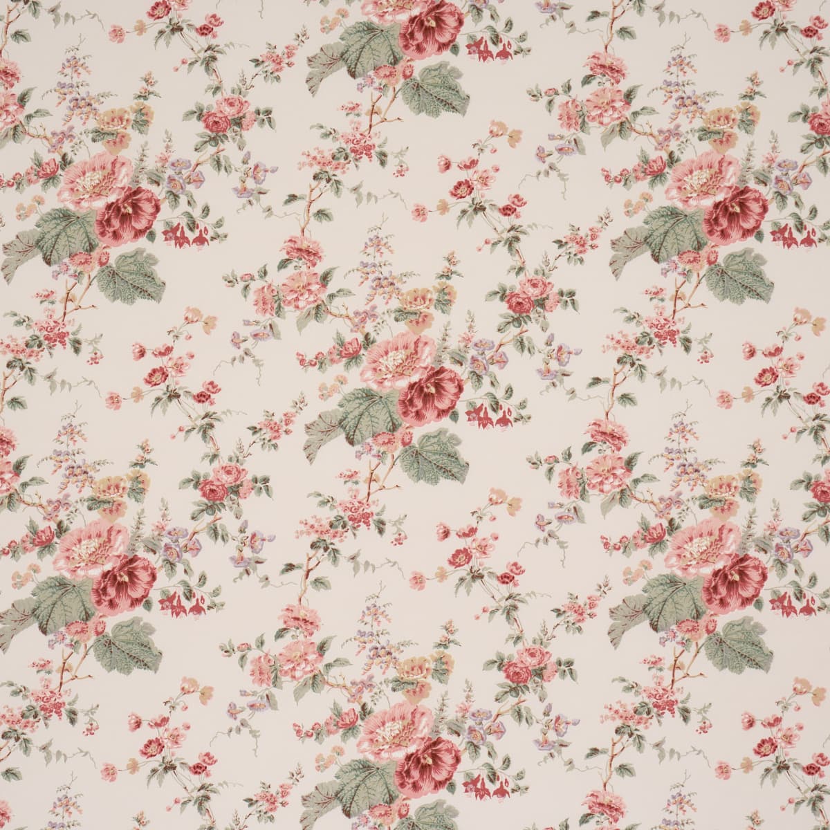 MIDSUMMER HOLLYHOCK - ROSE
