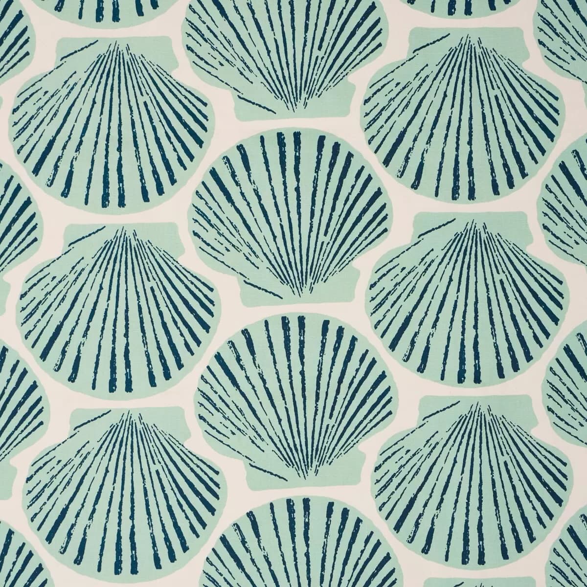 SCALLOP SHELL - AQUA