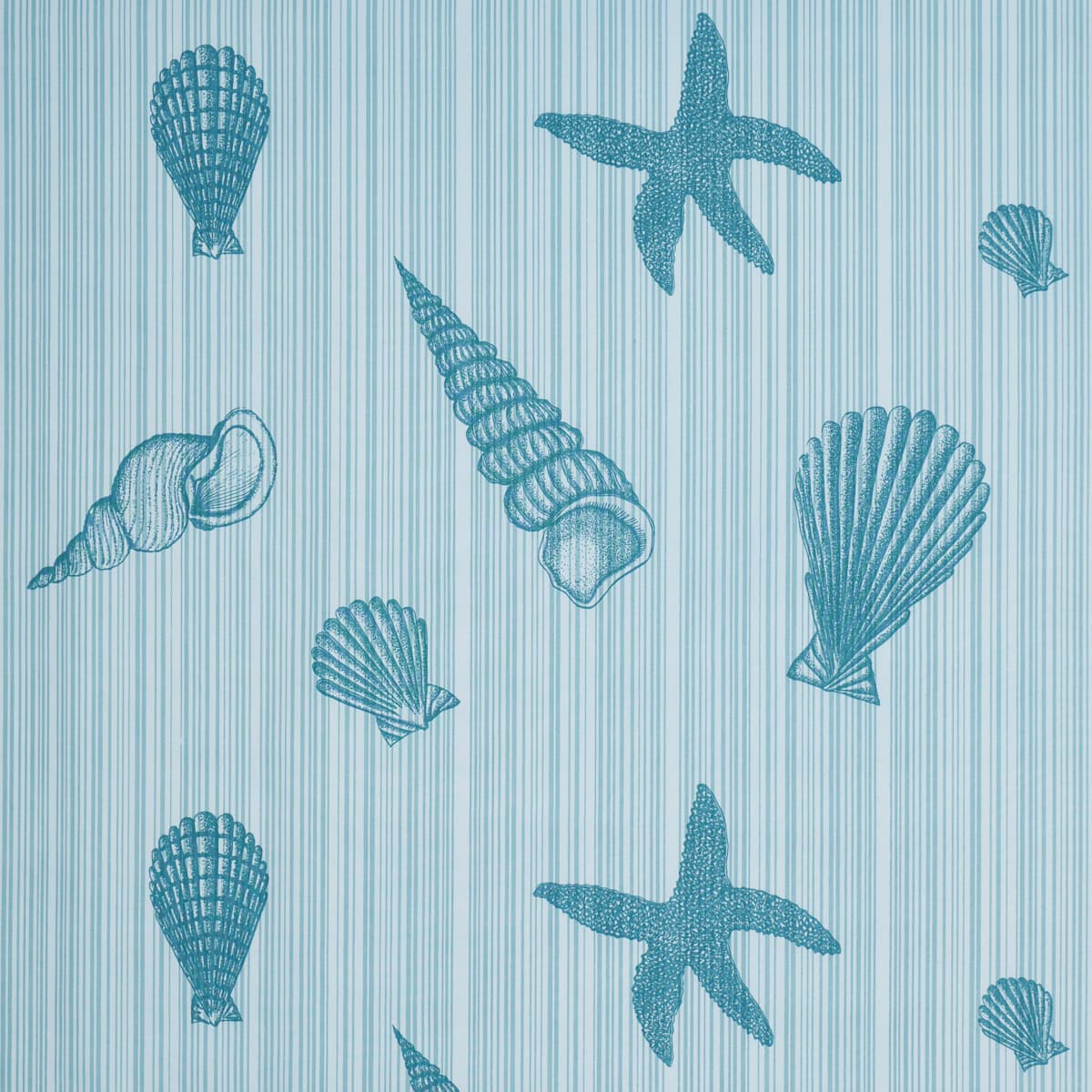 SEASHELLS - OCEAN