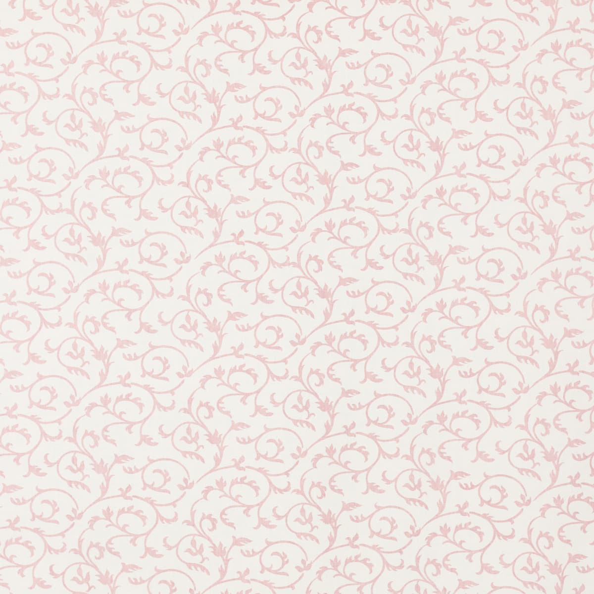 Charlotte - LAVENDER