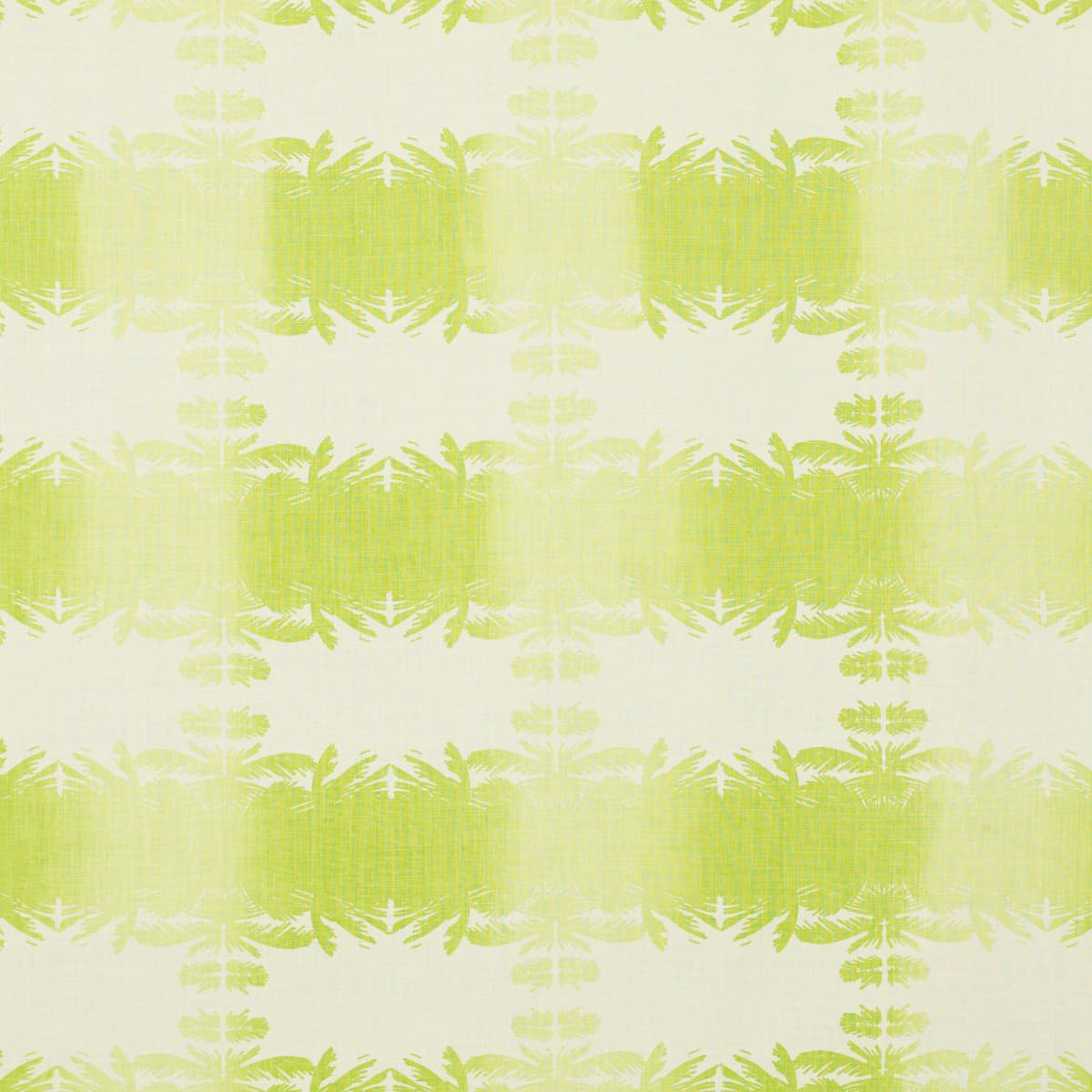 Palmas - OLIVINE