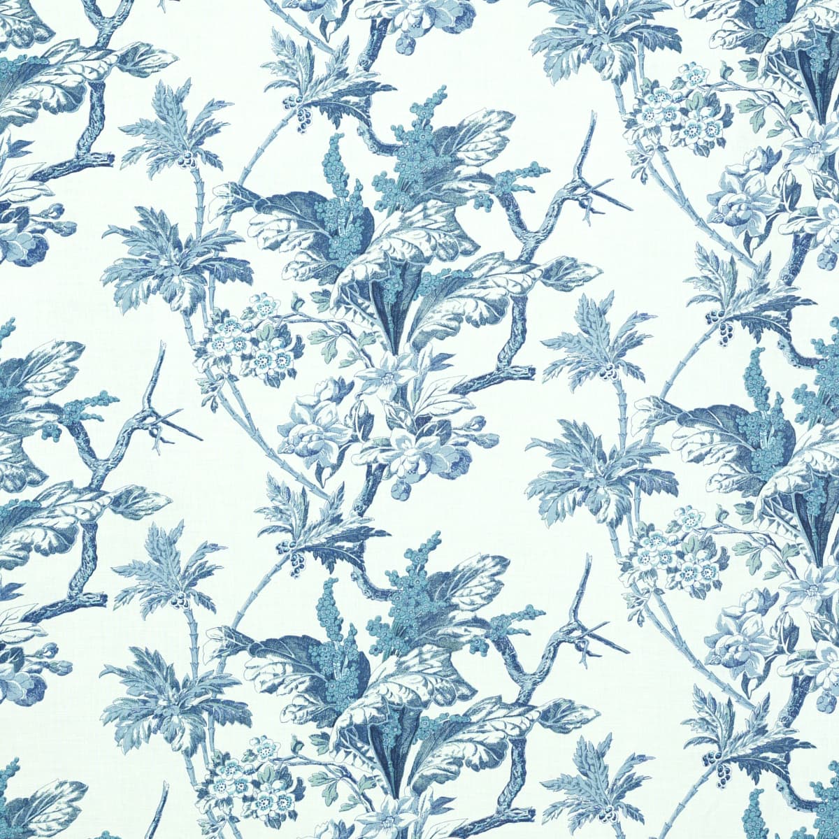 Augustin - DELFT