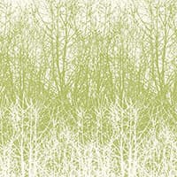 BIRCHES - LEAF/WHITE