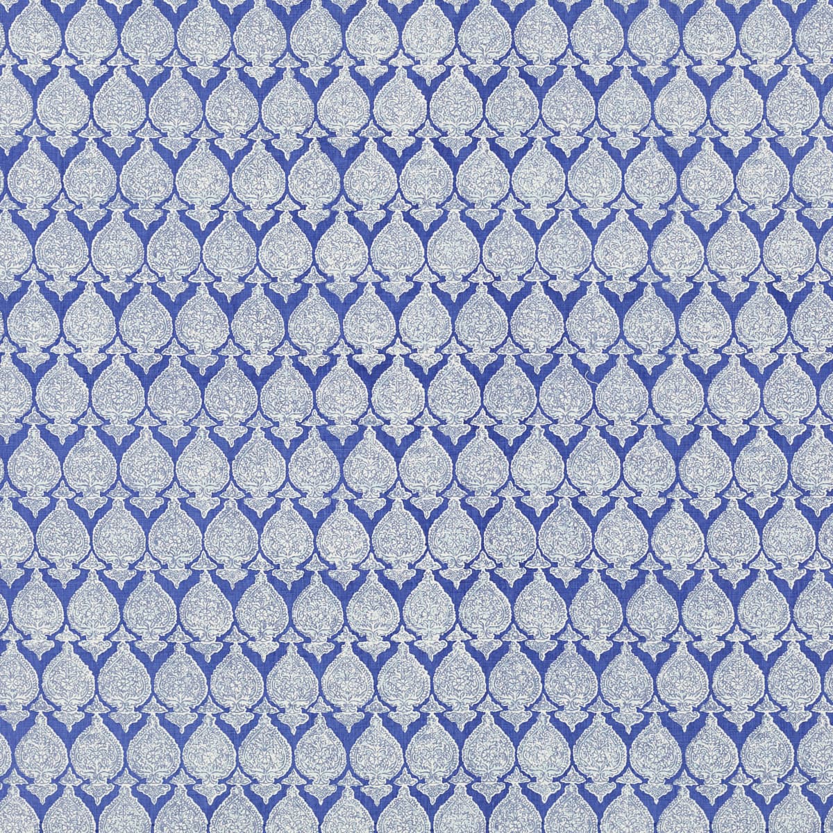 Sari - MAJOLICA