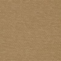 BRAMLEIGH - CAMEL