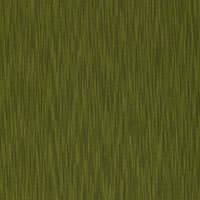 YORK STRIE - BOXWOOD