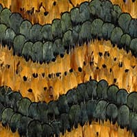 GOLDEN HILL - CITRINE