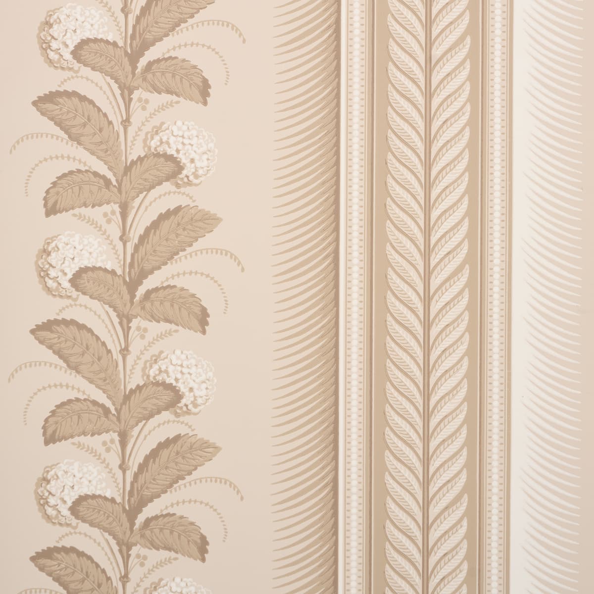 HYDRANGEA DRAPE - FAWN