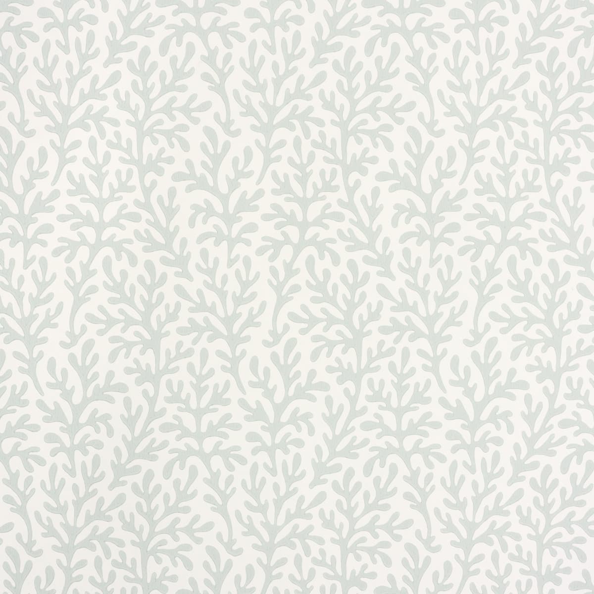 SEA CORAL - MINERAL