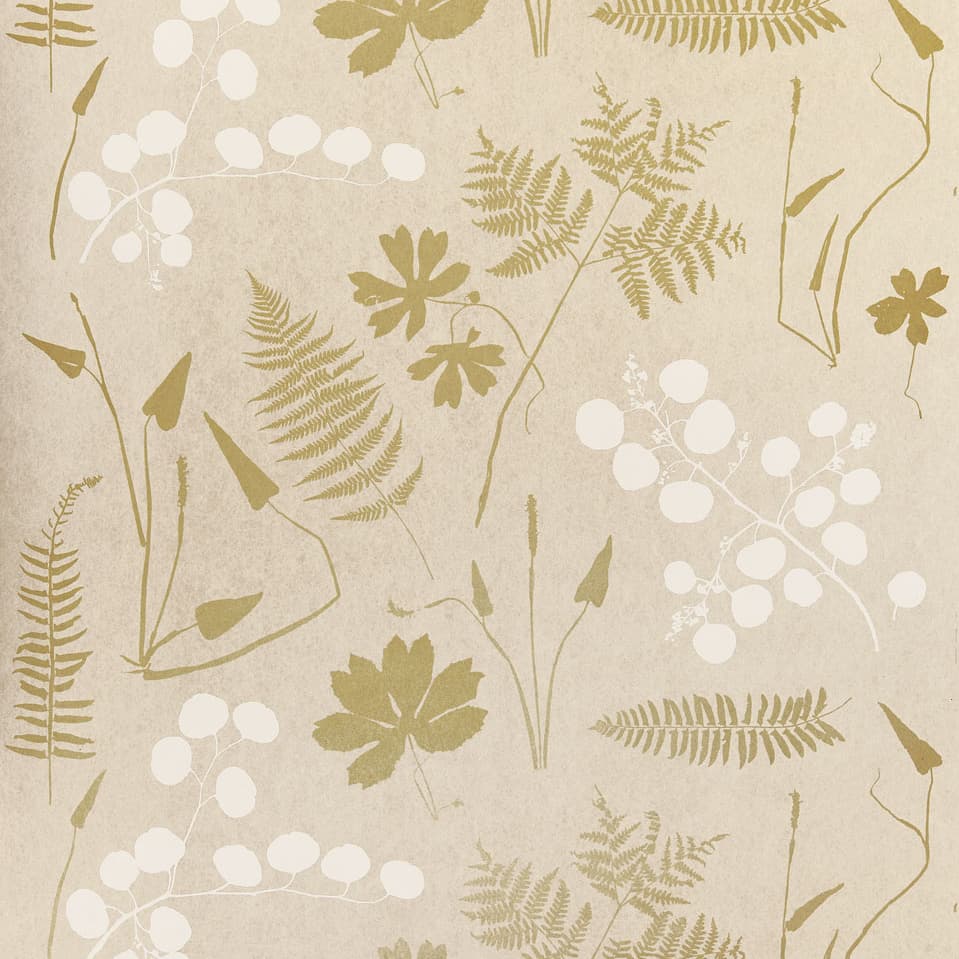 MODERN BOTANICAL - PARCHMENT