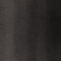 Lizard - CARBON