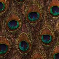 PEACOCK ORE - PEACOCK
