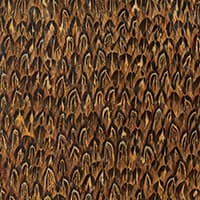 GOLD - QUAIL