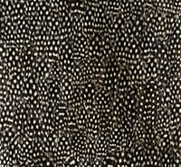 ZINC - BLACK & WHITE