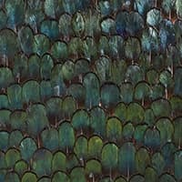 JADE - FOREST GREEN