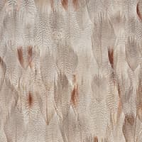 ALABASTER - FLORAL WHITE