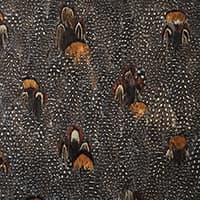 LODESTONE - CORAL
