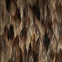 IRIDIUM - TAIL