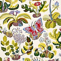 EXOTIC BUTTERFLY - MULTI