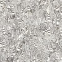 FEATHERS - ZEBRA