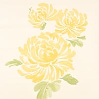 Hana Sisal - YELLOW