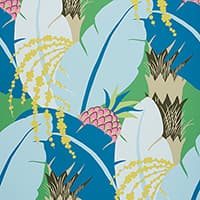 ANANAS - PEACOCK