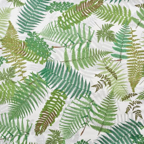FERNARIUM - IVORY & LEAF