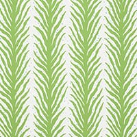 CREEPING FERN - MOSS