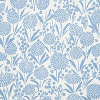 CHRYSANTHEMUM - CHAMBRAY