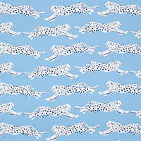 LEAPING LEOPARDS - SKY