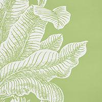 Grand Palms - Leaf Wallpapers | Schumacher