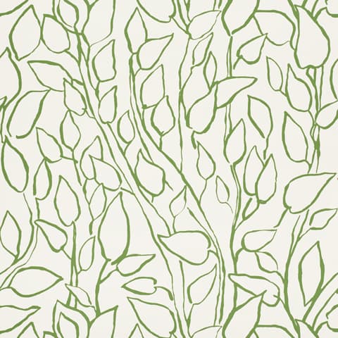 SOLANDRA VINE - LEAF