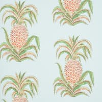 PINEAPPLES - SKY
