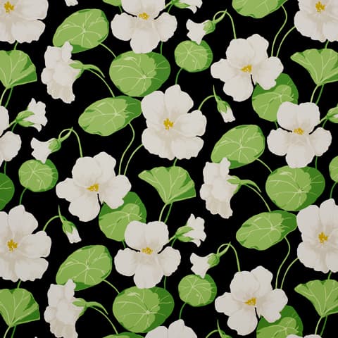 NASTURTIUM - NOIR