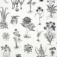 CABOT BOTANICAL LARGE - IVORY