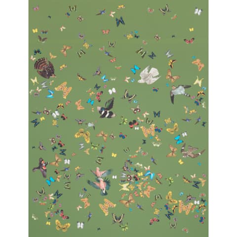 QUEEN'S FLIGHT PANEL SET - GREEN