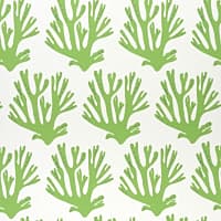 Coral - GREEN
