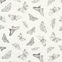 BURNELL BUTTERFLY - IVORY