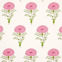 Marigold - PINK