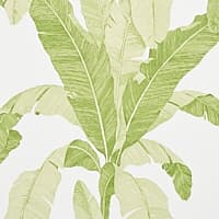 ERISIMO - LEAF
