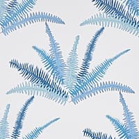CANYON FERNS - LAGOON