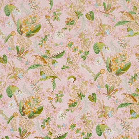 BLACKWELL - BLUSH