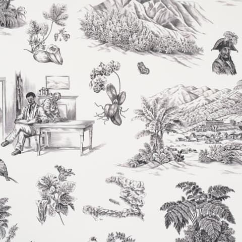 TOUSSAINT TOILE - BLACK ON IVORY