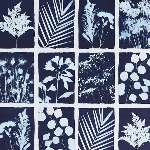 CYANOTYPE PANEL_INDIGO