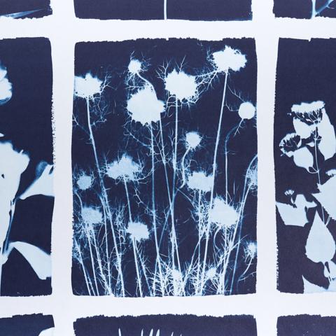 CYANOTYPE PANEL_INDIGO