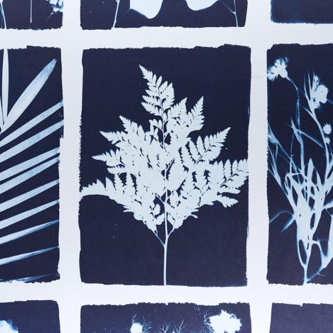 CYANOTYPE PANEL_INDIGO