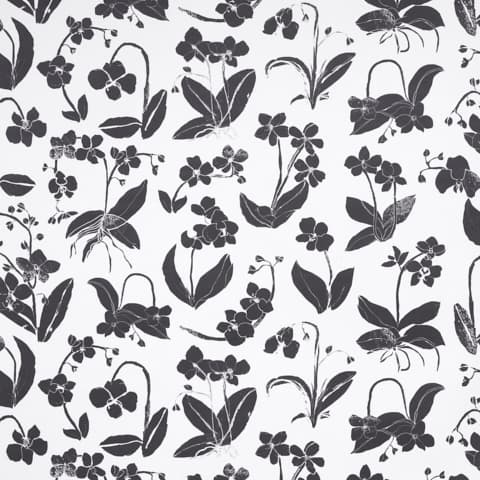 ORCHIDS HAVE DREAMS - SOFT BLACK