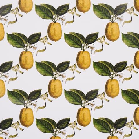 LE CITRON - IVORY