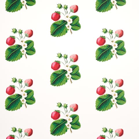 STRAWBERRY HILL - WHITE