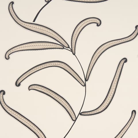 CATERPILLAR LEAF - BLACK AND CREAM